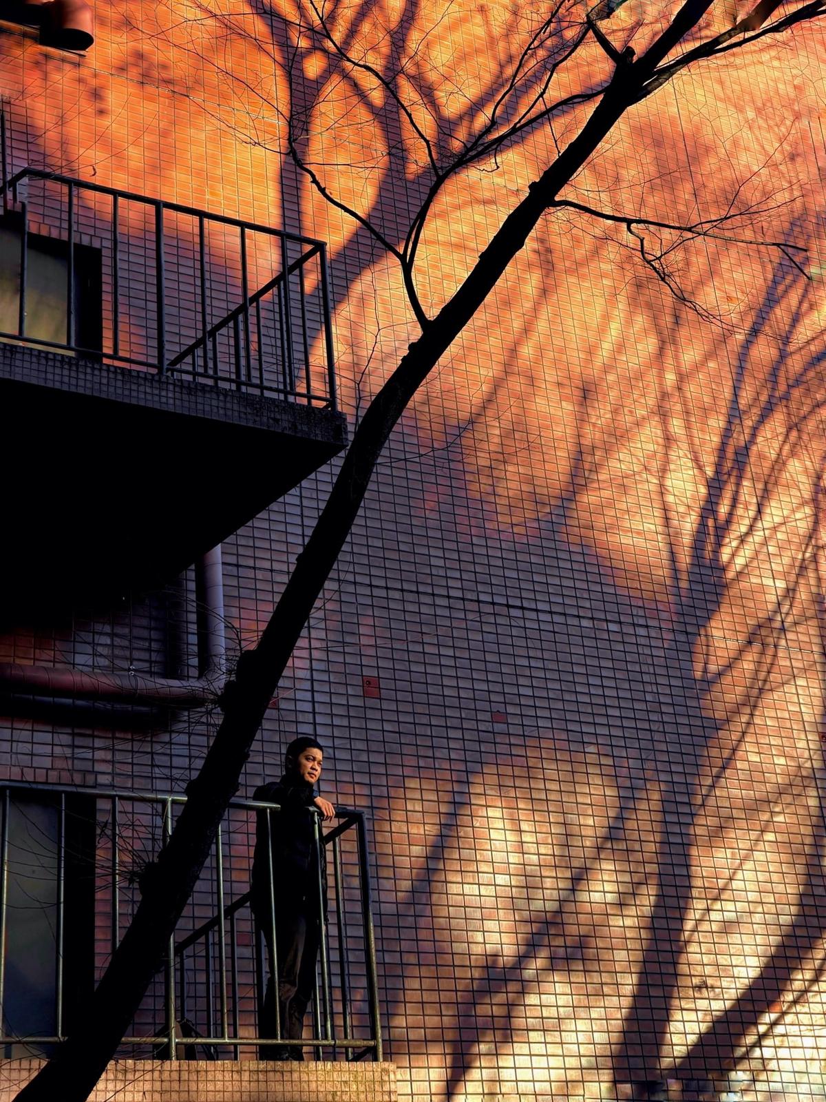 Augie Atqa on a stairwell at golden hour, beneath a bare tree casting shadows on a tiled wall